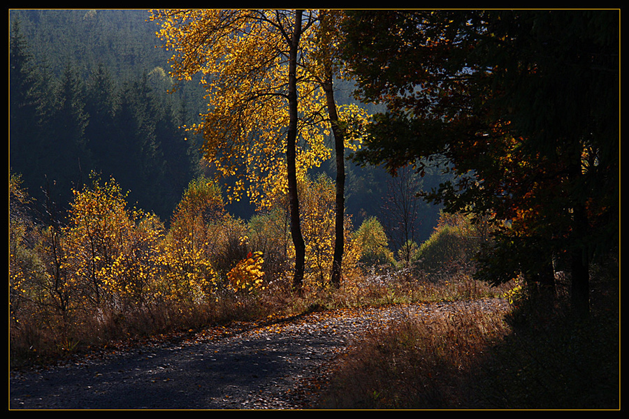 Herbstspaziergang