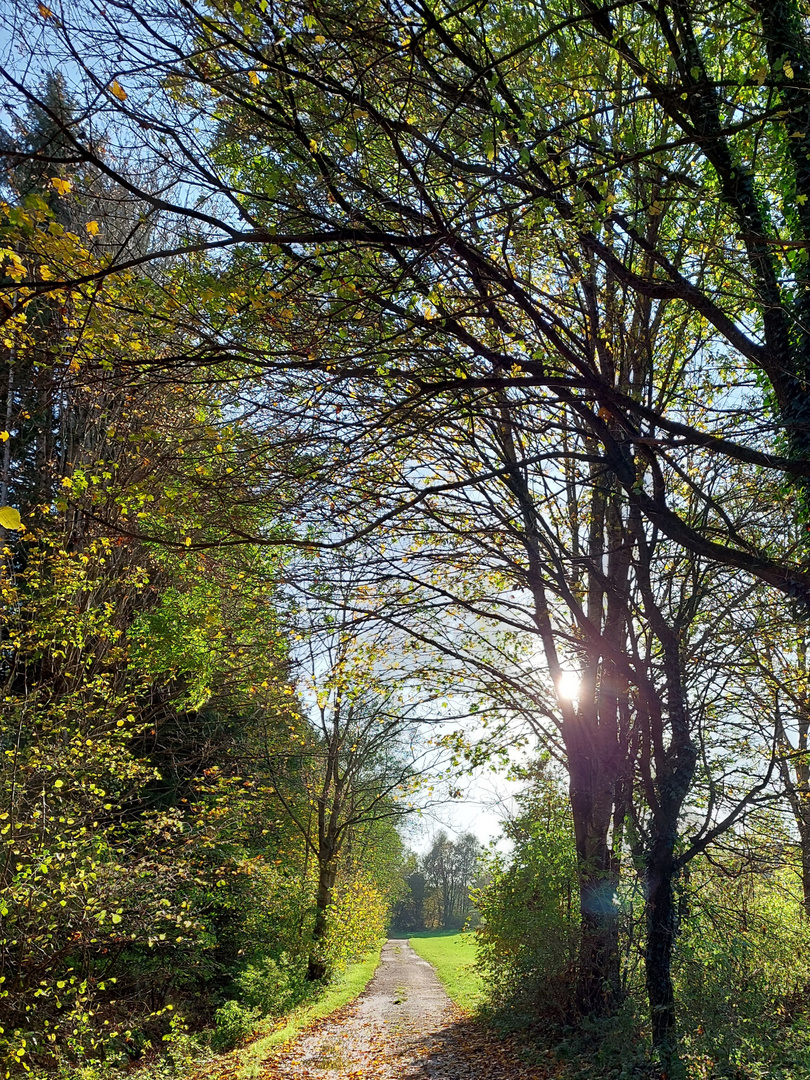 Herbstspaziergang