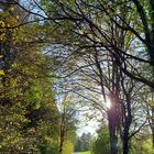 Herbstspaziergang