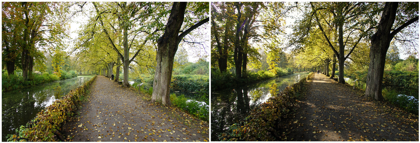 Herbstspaziergang...