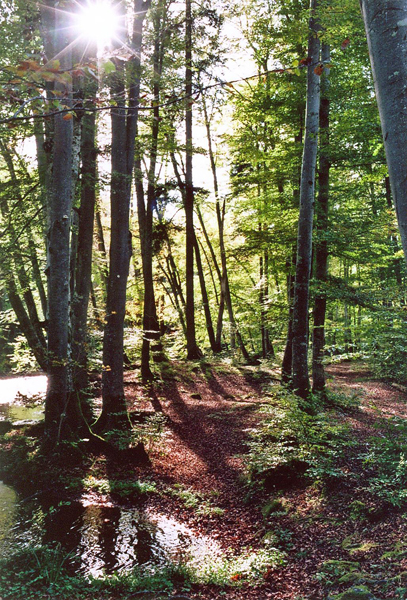 Herbstspaziergang