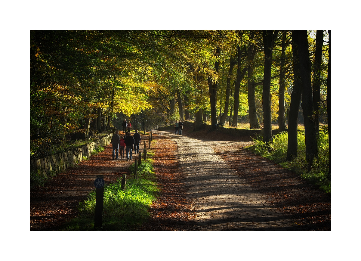 Herbstspaziergang