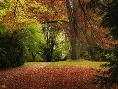 Herbstspaziergang...