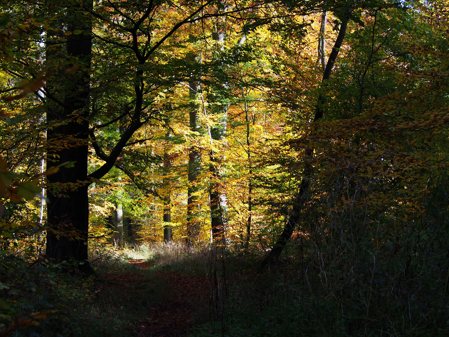 Herbstspaziergang