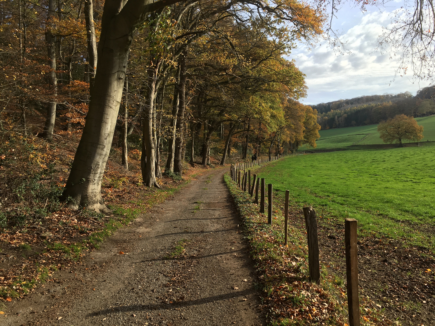 Herbstspaziergang