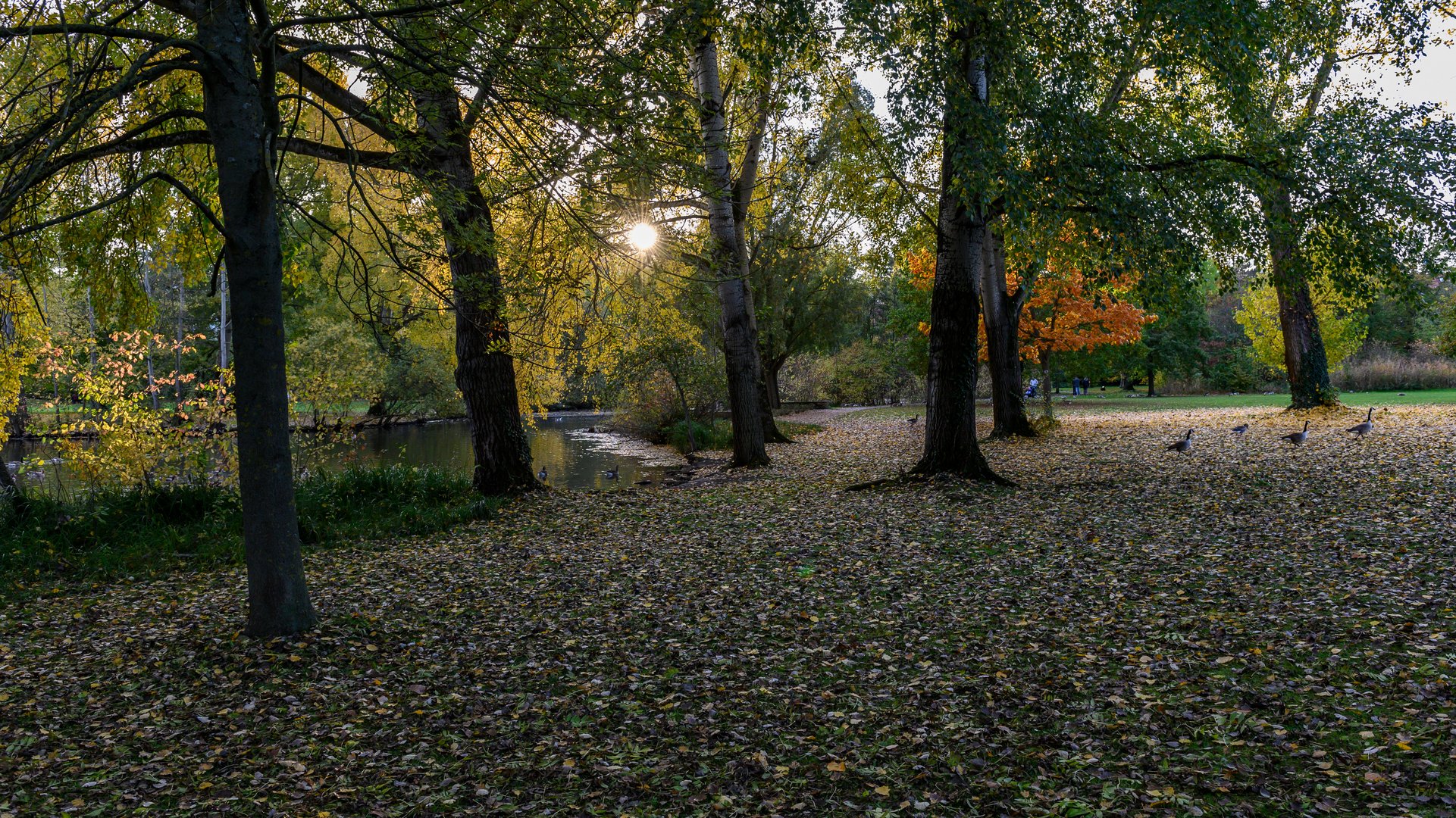 Herbstspaziergang 