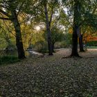 Herbstspaziergang 