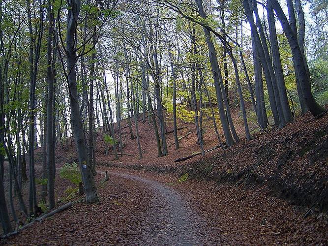 herbstspaziergang