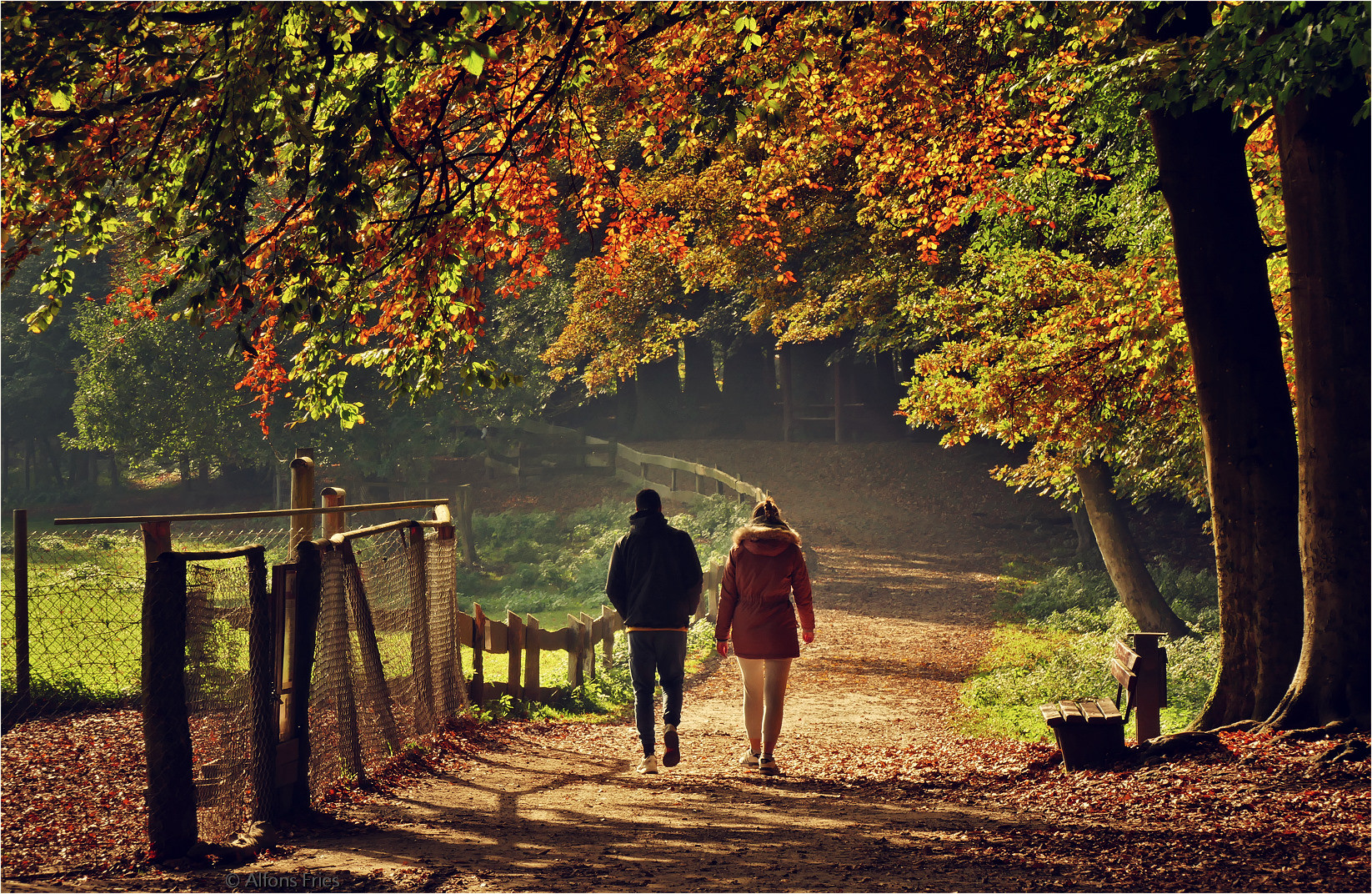 Herbstspaziergang