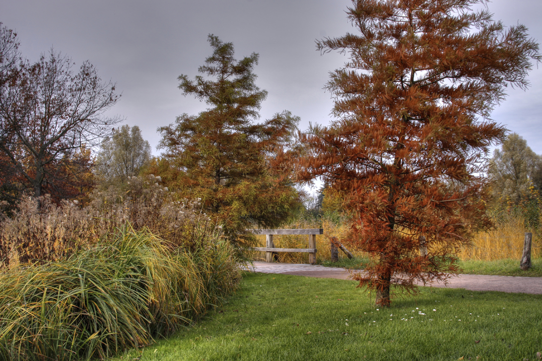 Herbstspaziergang