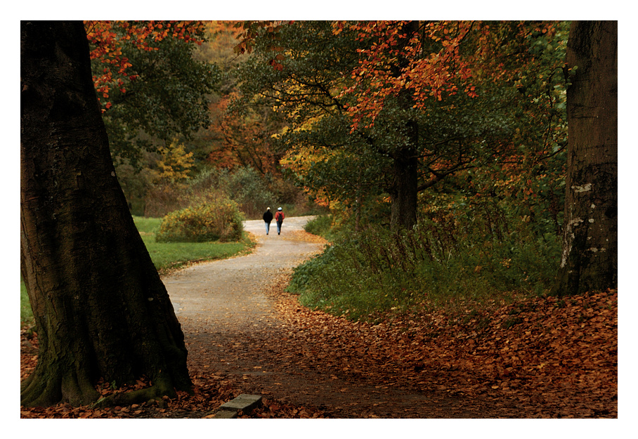 Herbstspaziergang