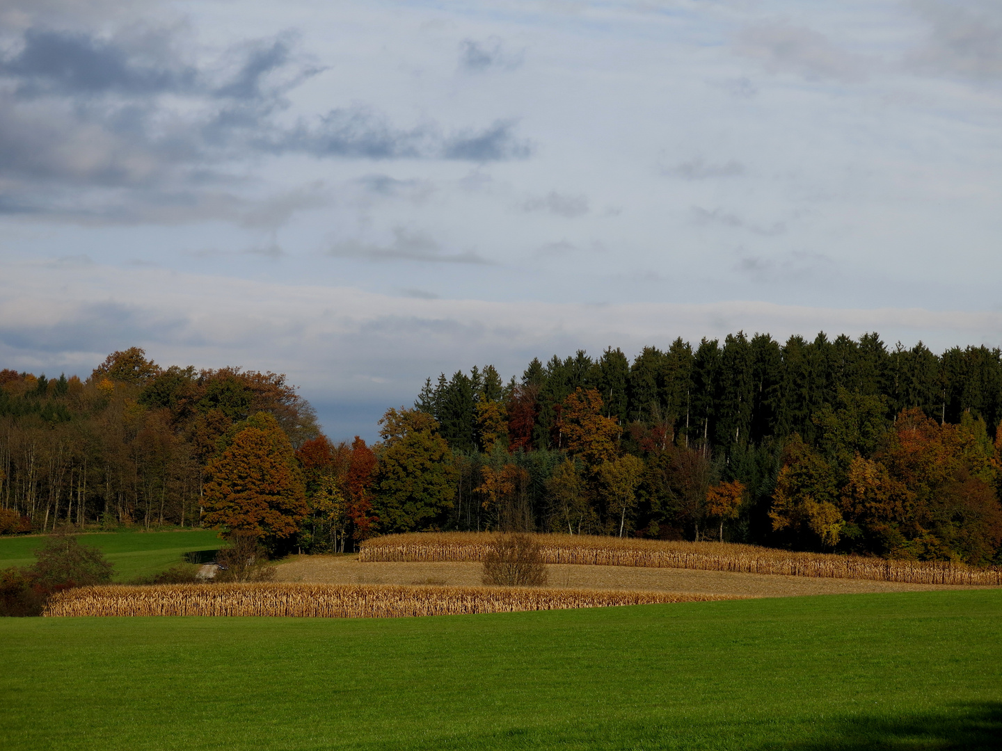 Herbstspaziergang