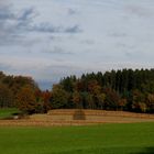 Herbstspaziergang