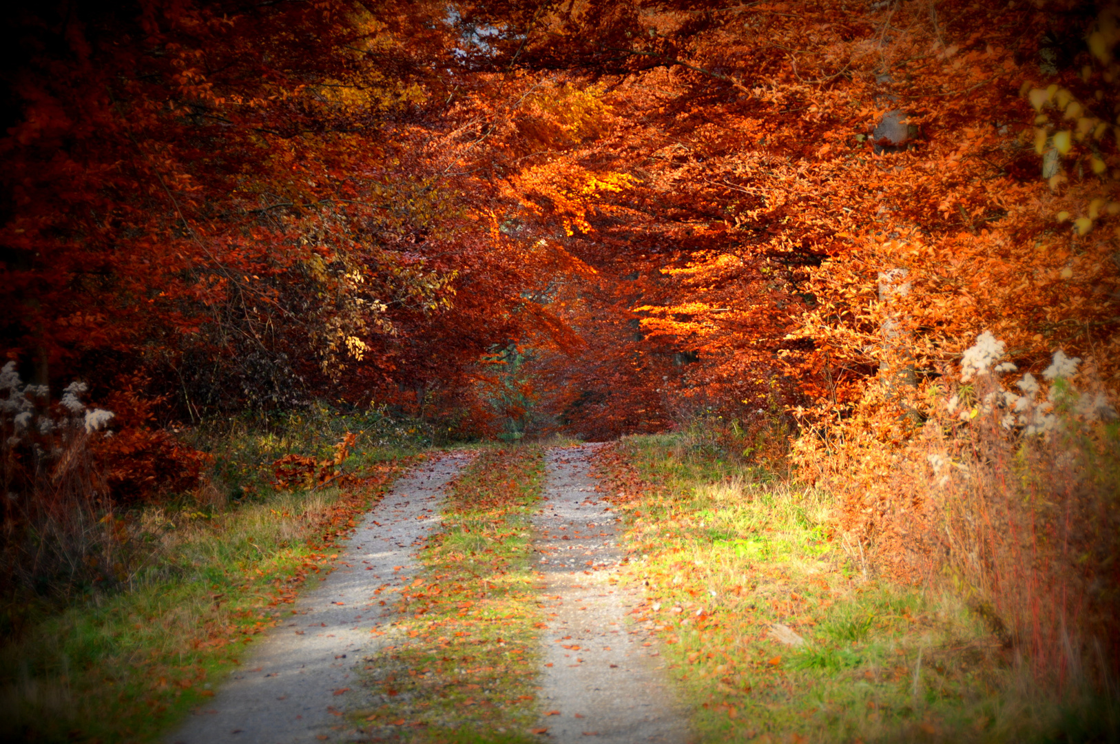 Herbstspaziergang