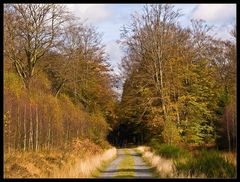 Herbstspaziergang