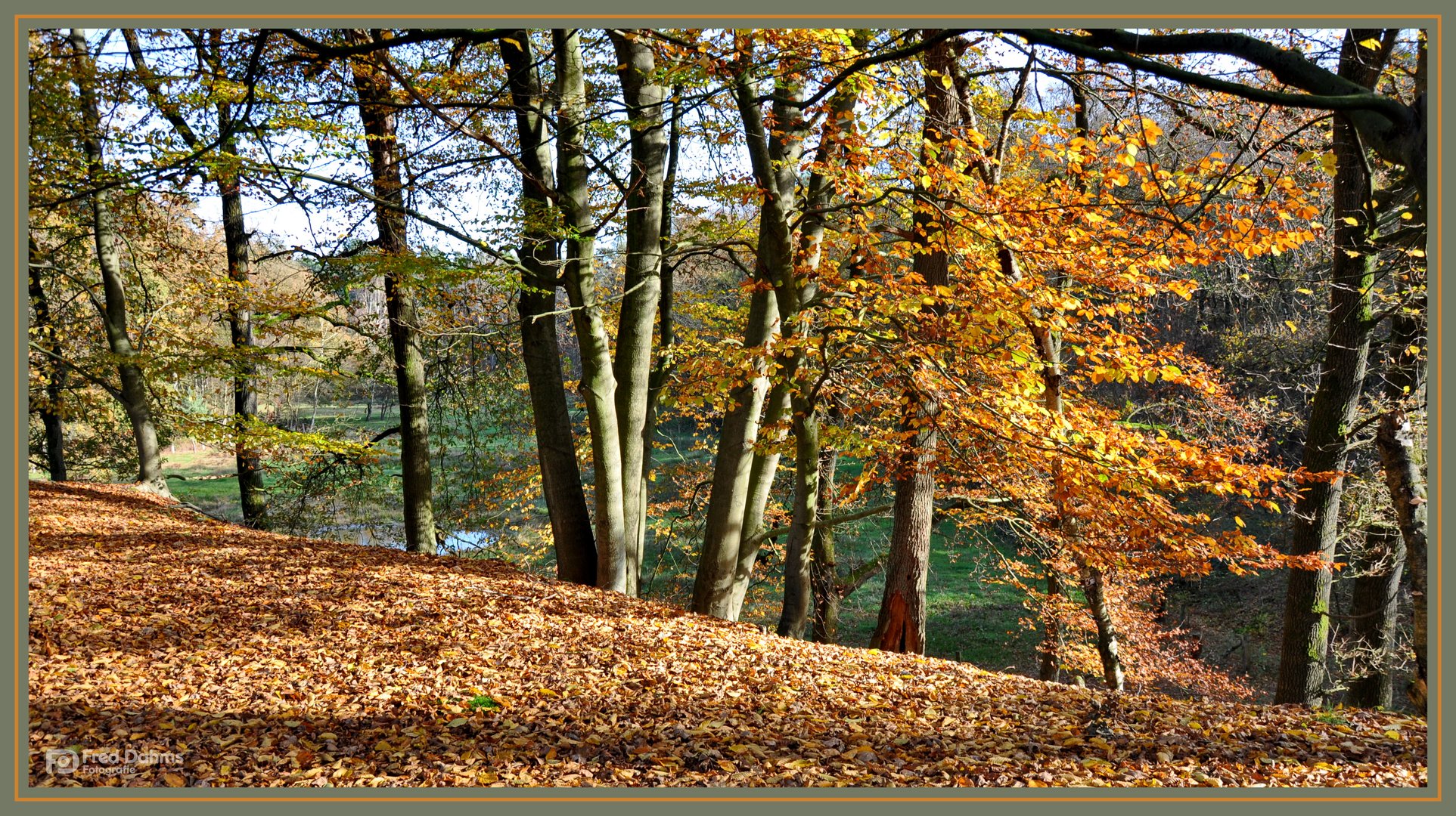 Herbstspaziergang