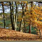 Herbstspaziergang