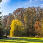 Herbstspaziergang