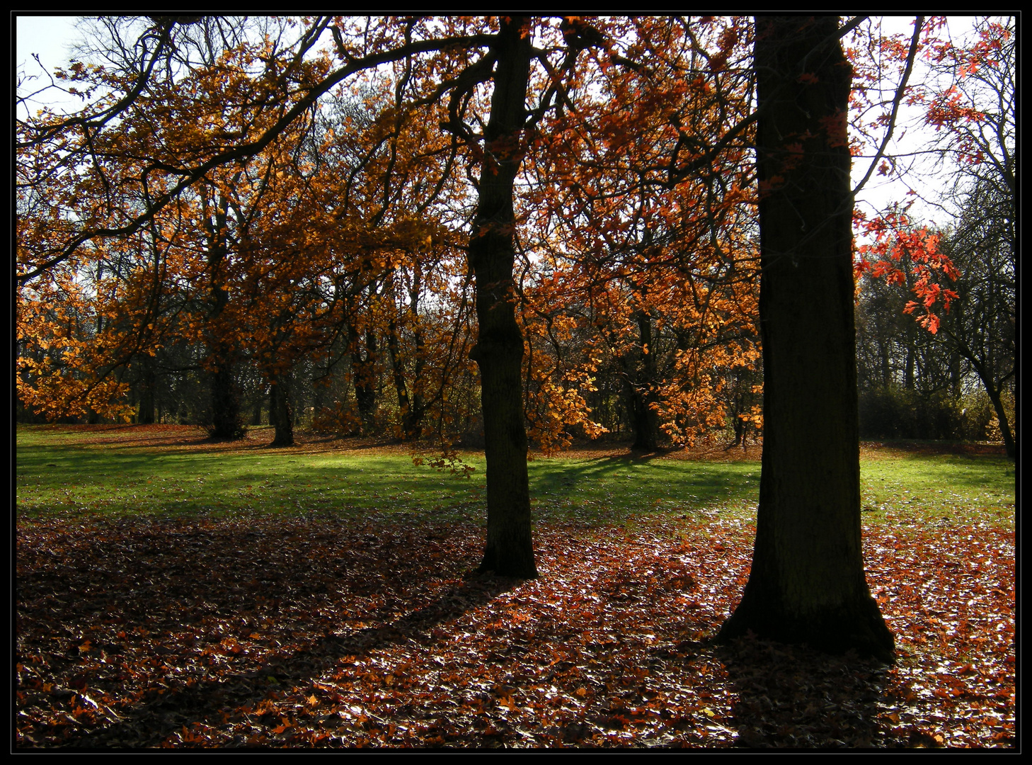 Herbstspaziergang