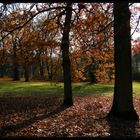 Herbstspaziergang