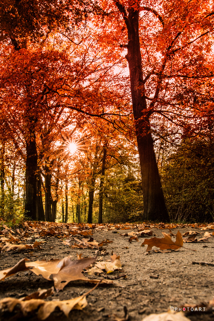 Herbstspaziergang