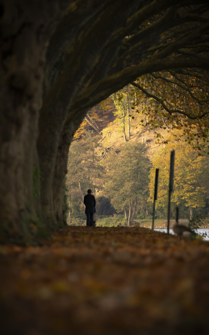 Herbstspaziergang