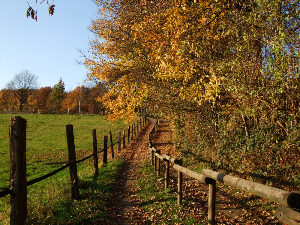 Herbstspaziergang