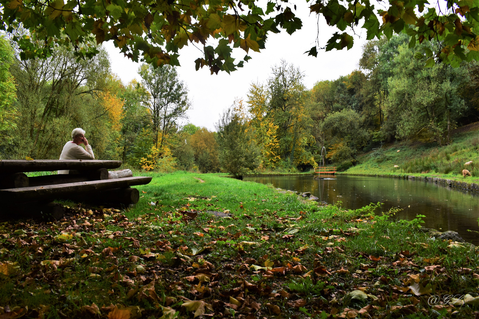 Herbstspaziergang