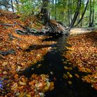 Herbstspaziergang...