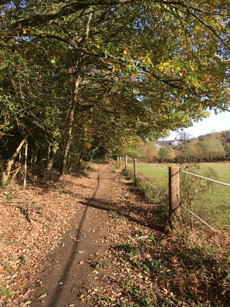 Herbstspaziergang