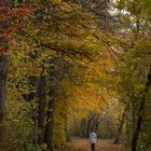 Herbstspaziergang