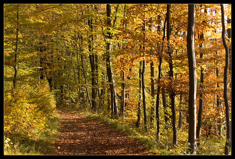 Herbstspaziergang