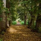 Herbstspaziergang