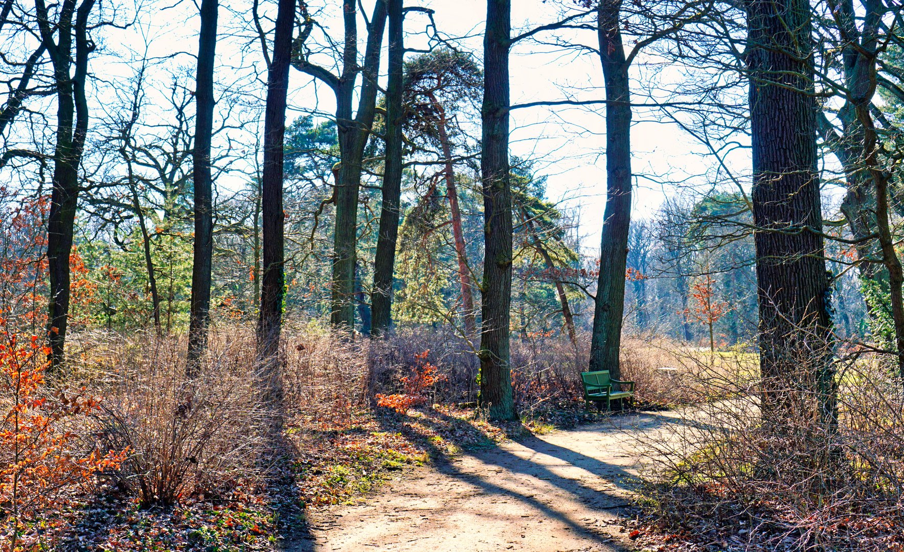 Herbstspaziergang