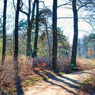 Herbstspaziergang