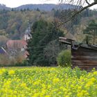 Herbstspaziergang