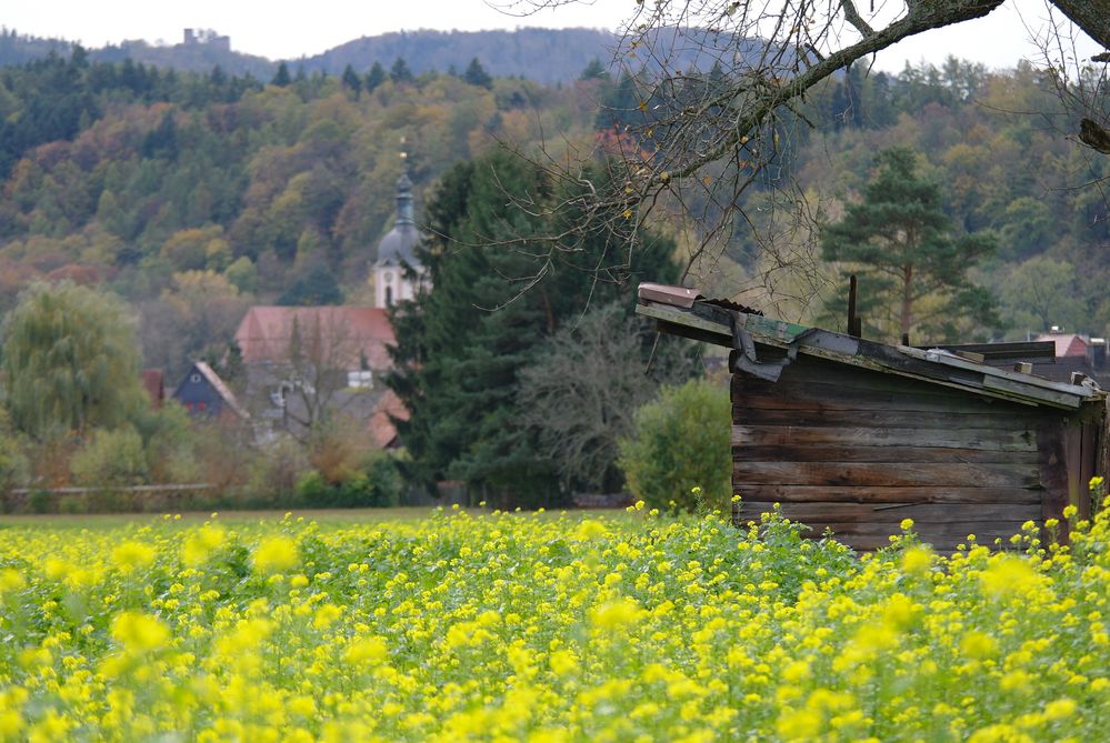 Herbstspaziergang