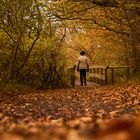 Herbstspaziergang