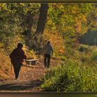 Herbstspaziergang