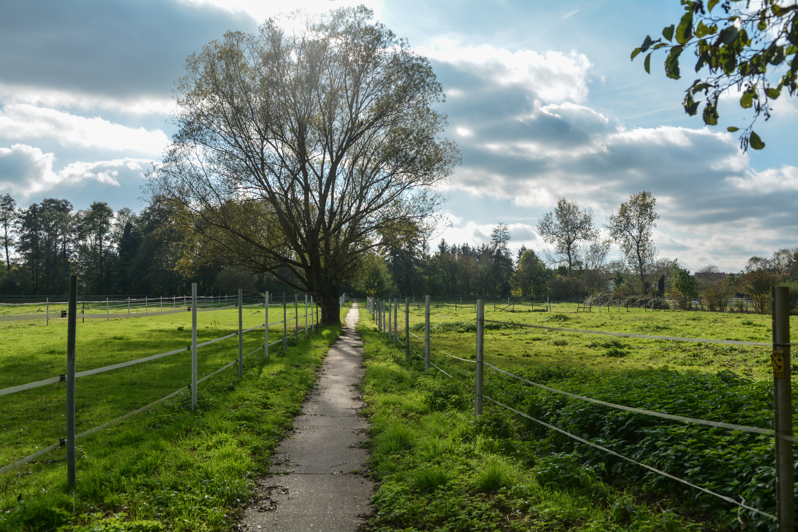 Herbstspaziergang: Es führt ein Weg nach .....