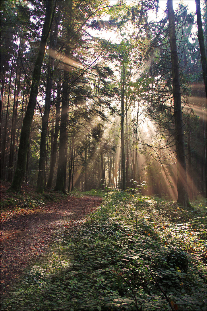 Herbstspaziergang