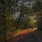 Herbstspaziergang