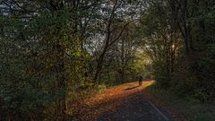 Herbstspaziergang