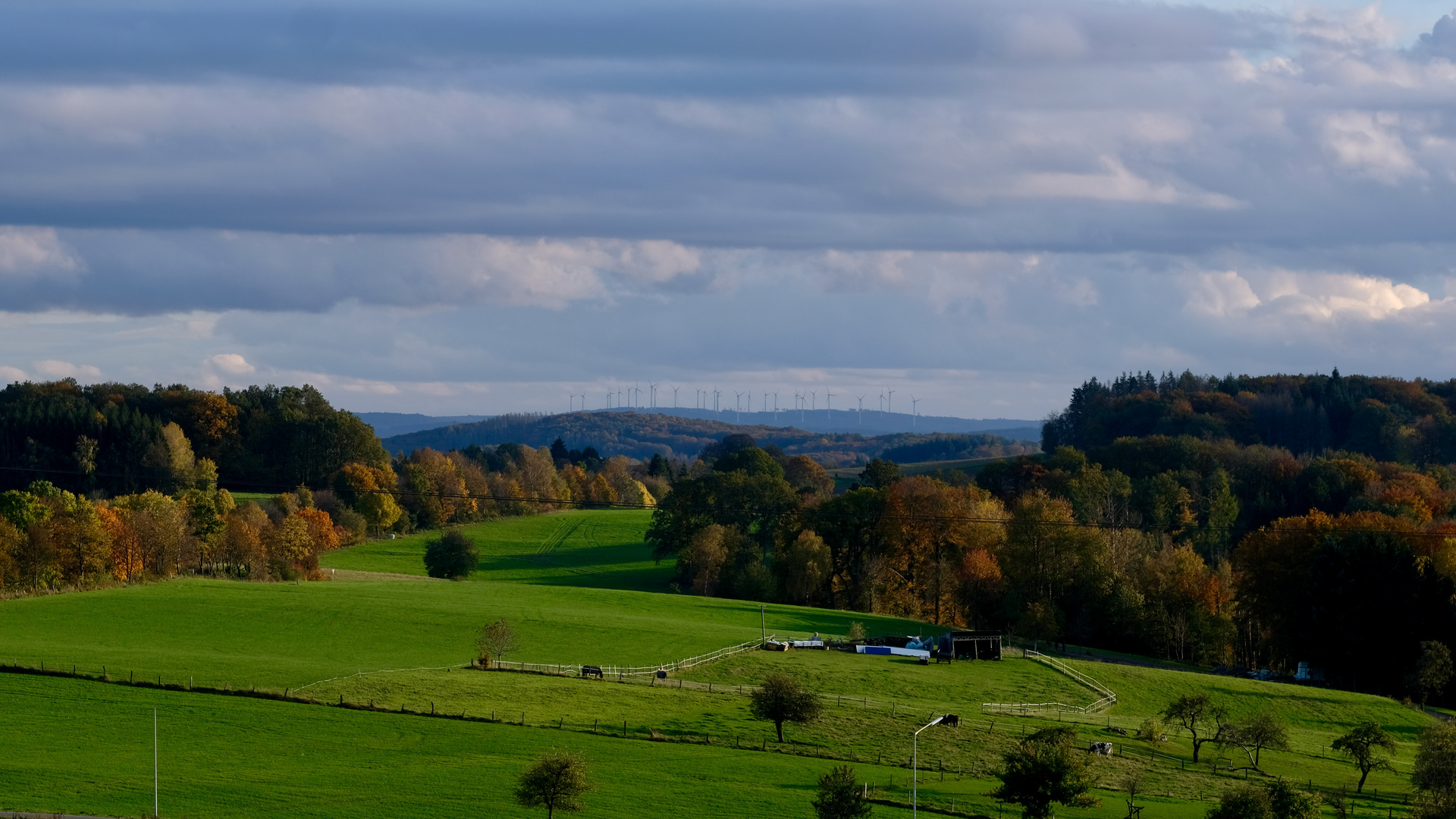 Herbstspaziergang