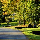 Herbstspaziergang