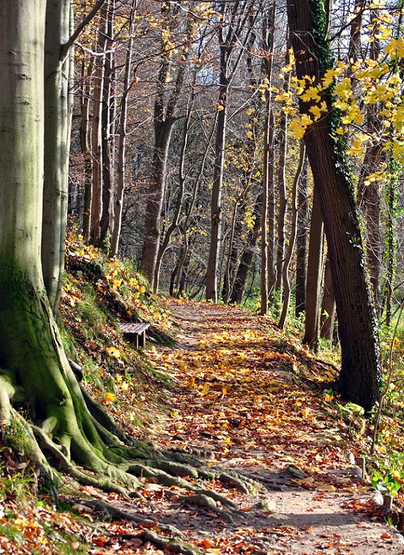 Herbstspaziergang