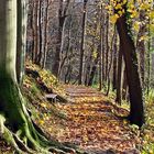 Herbstspaziergang