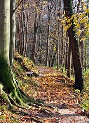 Herbstspaziergang