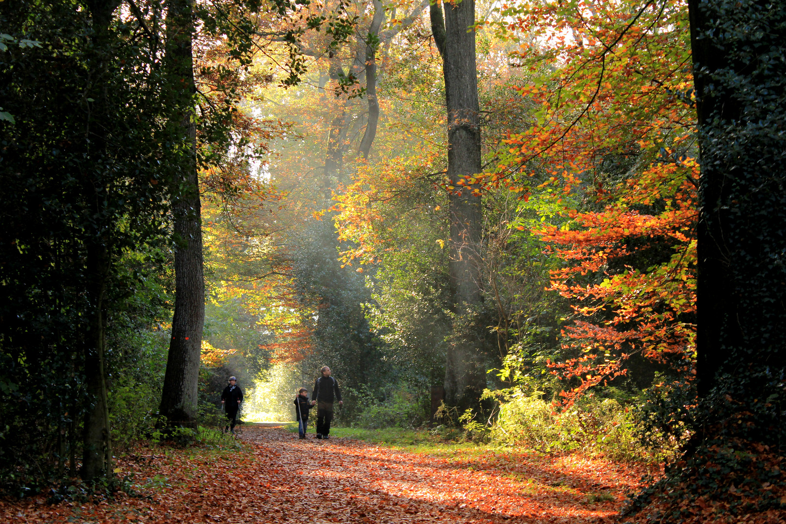 Herbstspaziergang