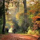 Herbstspaziergang